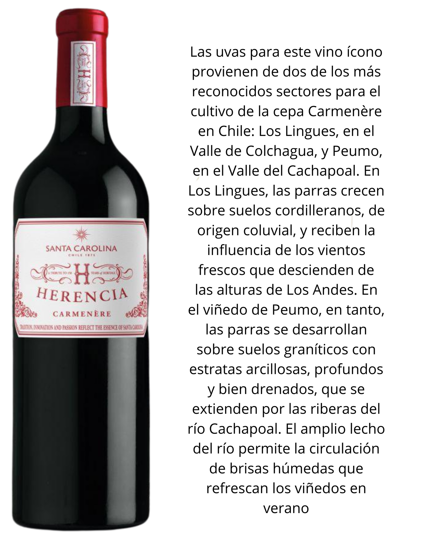 Vino Herencia 1500mL